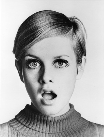 twiggy-surprise-777x1024